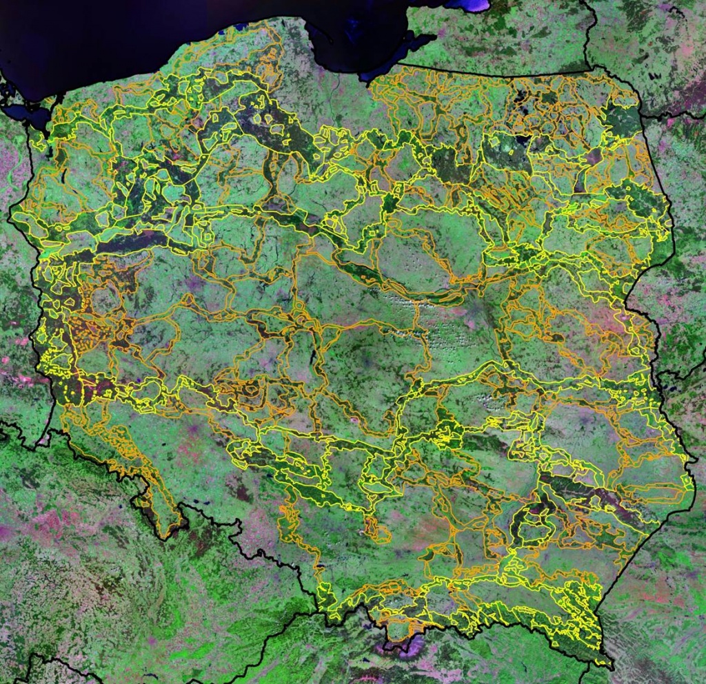 Rys. 1. Korytarze ekologiczne w Polsce. W wyznaczonej sieci korytarzy największą powierzchnię stanowią lasy – ok. 55 proc., natomiast łąki, pastwiska i uprawy rolne zajmują ok. 42 proc. Pozostałe 2,5 proc. to wody i mokradła, a 0,5 proc. – tereny zabudowane. Wyróżniono siedem korytarzy głównych, z których każdy łączy tereny położone na przeciwległych granicach kraju. Nazwano je korytarzami międzynarodowymi (kolor żółty). Pozostałe korytarze, łączące obszary położone wewnątrz kraju z korytarzami głównymi oraz zapewniające opcjonalność dróg migracji, nazwano korytarzami krajowym (kolor pomarańczowy). (Źródło: Ochrona łączności ekologicznej w Polsce. Materiały konferencji międzynarodowej. Wdrażanie koncepcji korytarzy ekologicznych w Polsce, 2009). 