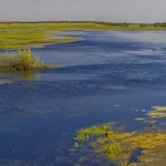 Czy możliwa jest identyfikacja nieleśnych siedlisk Natura 2000 metodami teledetekcyjnymi? Wyzwanie na przyszłość czy technologia na wyciągniecie ręki?