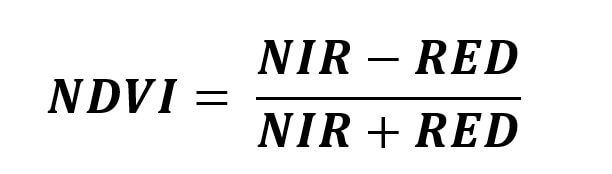 rys-4