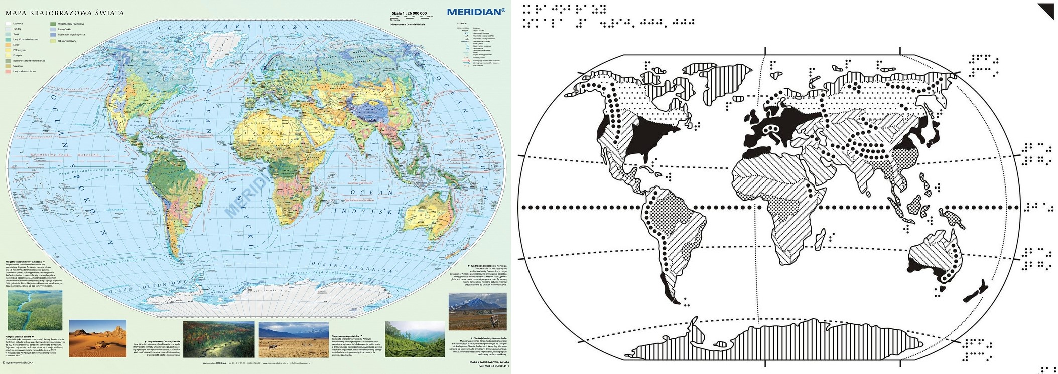 Rys. 2. Klasyczna Mapa Krajobrazowa Świata i jej odpowiednik dotykowy. Dobrze widoczny jest stopień generalizacji treści tyflomapy, źródło: www.pomoceszkolne.pl, www.tyflomapy.pl.