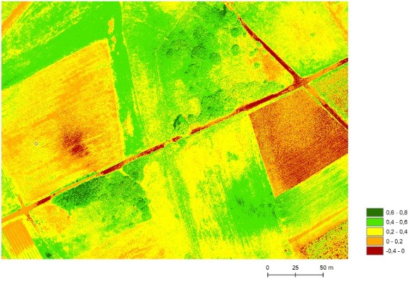 Ryc. 2. Wskaźnik NDVI, opracowany w programie Esri (Environmental Systems Research Institute) ArcGIS 10.3.