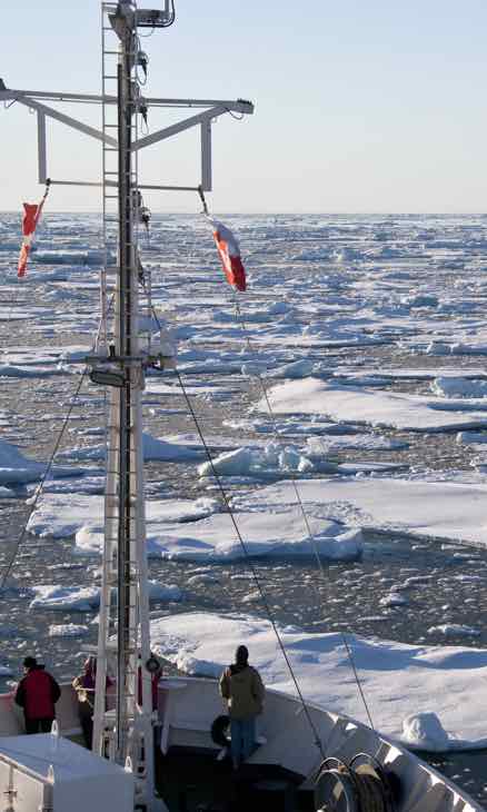 Rys. 3. Lód morski na wodach Oceanu Arktycznego u wschodniego wybrzeża północnej Grenlandii.