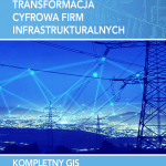 Transformacja cyfrowa firm infrastrukturalnych