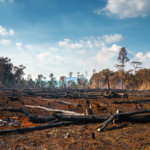Analityka lokalizacyjna pomaga wyjaśnić tajemnicę wylesiania lasów Amazonii